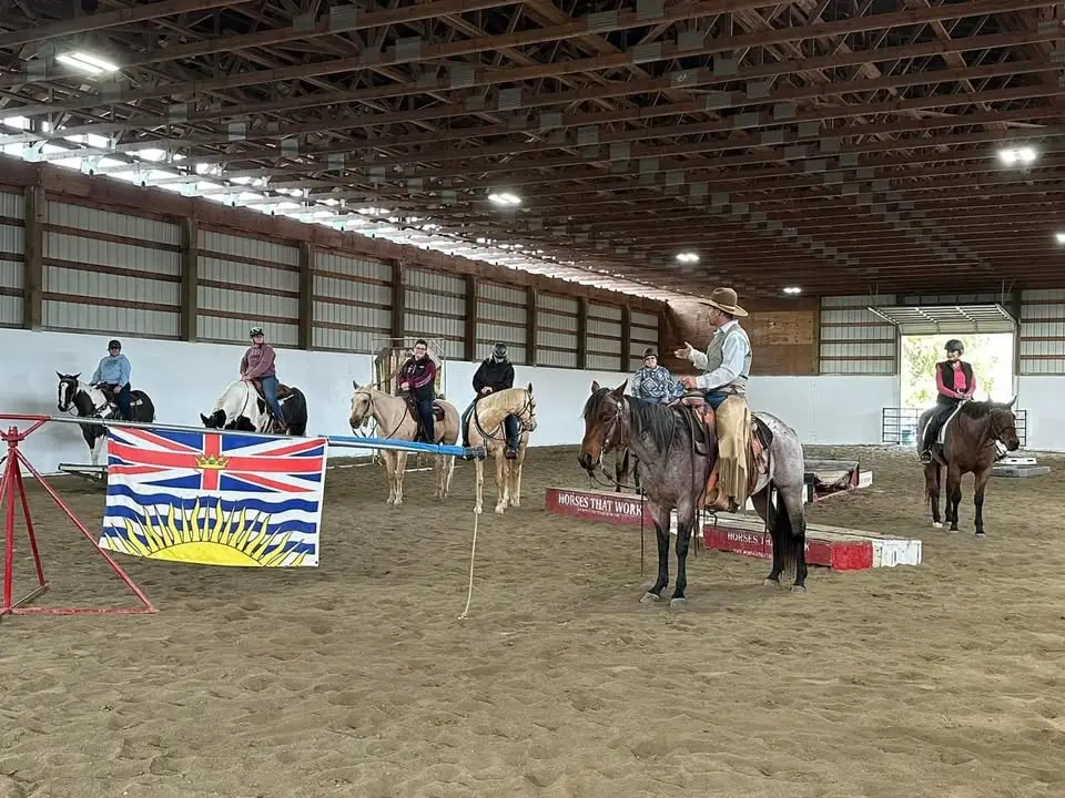 Horsemanship through obstacles, obstacle play day