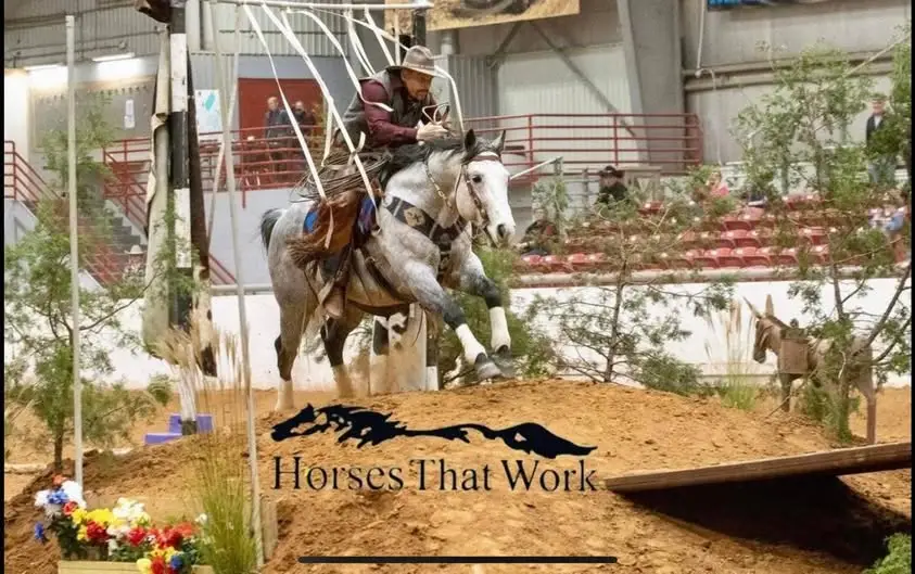 Horsemanship through obstacles - 70 mile