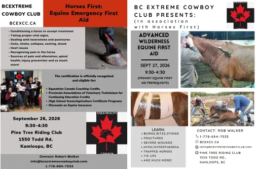 combined first aid poster 250